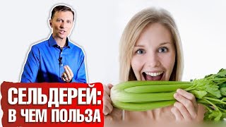 Чем полезен сельдерей ► Какая польза сельдерея для организма? 🥬