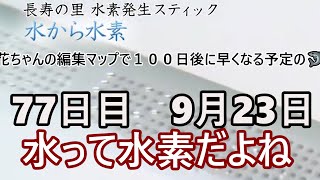 花ちゃんの編集マップで１００日後に早くなる予定の🦈77日目　9月23日