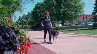 Meet Your Advisor: Kendra