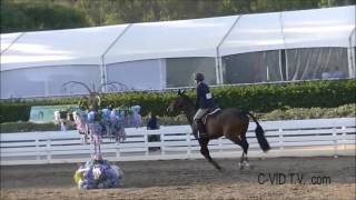 2016 CPHA Foundation Equitation Finals