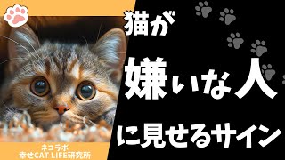 猫が家族の中で一番嫌いな人にする行動