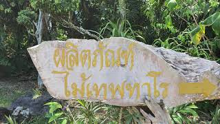 #วังเทพทาโร จังหวัด ตรัง  วังเทพทาโร