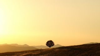 20220508_대구서문교회 주일 4부 예배  방송..