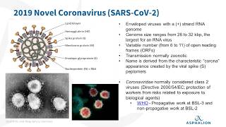 The latest scientific data on the novel coronavirus SARS-CoV-2 and the COVID-19 disease
