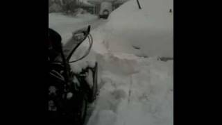 MTD Gold / Blizzard 2010