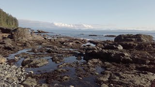 Sombrio Beach, Vancouver Island. Camping Trip. July 2020