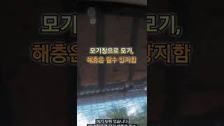 시골집서 가장 좋아하는 장소는?