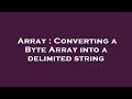 Array : Converting a Byte Array into a delimited string