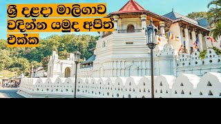 ශ්‍රි දලදා මාලිගාව  ශ්‍රී ලංකාවේ බොදු ජනයාගේ මුදුන් මල්කඩ මහනුවර නගරයට අභිමානයක් ලෙස සැලකේ ❤❤❤