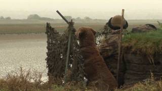 Wildfowling - an introduction