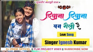 Diwana Diwana Bangelo Re/ Nagpuri Dj Song /Nagpuri Video Song /Adhunik Dj Song