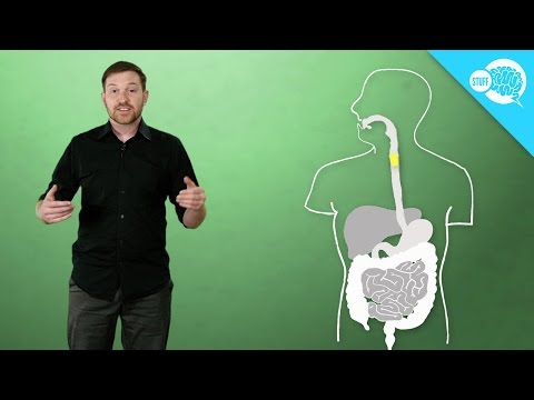 Why Are You Farting? Why Are You Farting?