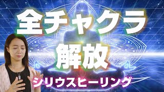 再生後にヒーリングが始まります。シリウスのエネルギーで全チャクラの調整、ネガティブ解放、クリアリングを行います