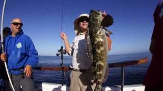 Lingcod Special on the Aloha Spirit • Fisheye Channel