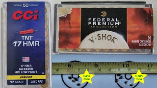 CCI TNT vs FEDERAL PREMIUM V-SHOCK 17 hmr