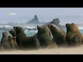 Creatures of the Desert  Hostile Planet  Full Episode  S1-E4  National Geographic