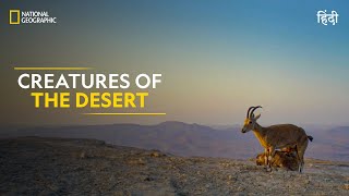 Creatures of the Desert | Hostile Planet |  Episode | S1-E4 | National Geographi