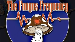 SporeSwaps Podcast Episode 20: Jeff Karas of The Fungus Frequency