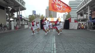 ぶち楽市民祭2015　さるくCity４◯３遊歩隊～一蓮風雅～