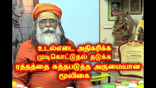 உடல்எடை பெருக முடி உதிர்வை தடுக்க ரத்தத்தில் உள்ள கிருமிகள் அகற்ற அற்புதமான மூலிகை