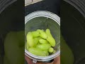 mindblowing kiwi fruit u0026 grapes shake videos