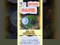 キムチ鍋 家族の分のキムチ鍋作ってみた！！冬は、鍋が最高！！好きな鍋料理あったらコメントしてね♪