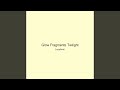 Glow Fragments Twilight