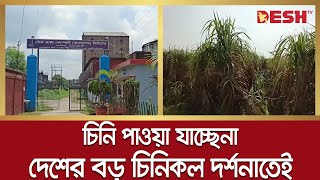 চিনি পাওয়া যাচ্ছেনা দেশের বড় চিনিকল দর্শনাতেই | Sugar Mill | Darshana Sugar Mill | Chuadanga News