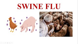 Swine Flu || H1N1 Virus || Cause, Transmission, Symptoms, Diagnosis & Prevention of Swine Flu