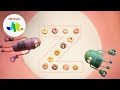 Letter Z | StoryBots ABC Alphabet for Kids | Netflix Jr
