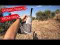 🤯CAZA DE PALOMAS TORCACES - (Media Veda 2024-2025) #CAP.1#🕊💥