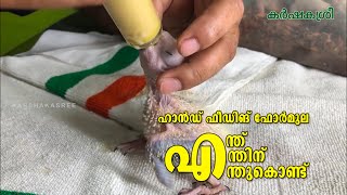 പക്ഷിക്കുഞ്ഞുങ്ങൾക്ക് ഹാൻഡ് ഫീഡിങ് ഫോർമുല എന്തിന്? | Hand Feeding Formula | Pet Birds | Karshakasree