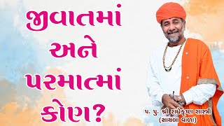 જીવાત્માં અને પરમાત્માં કોણ ? - (પ. પૂ. શ્રી રાધે કૃષ્ણ શાસ્ત્રી) ll SHREE RADHE KRISHNA SHASTRI ll