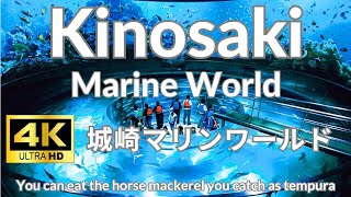 【4K】城崎マリンワールド Kinosaki Marin World アジ釣り 天ぷら