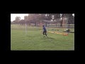 evan markogiannakis gk training 5 1 12