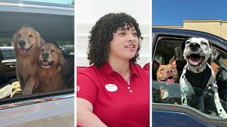 Chick-fil-A Couches | Dog Days :30 | TV