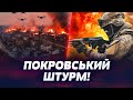 🔥 7 ХВИЛИН НАЗАД! ДЕСАНТНИКИ ЗСУ ВИПАЛЮЮТЬ ПІД ПОКРОВСЬКОМ! ОКУПАНТІВ! ЯК ЗСУ ОБОРОНЯТЬ МІСТО?