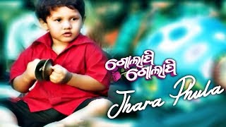 DDD - Jhara Phula - Odia Emotional Song | Film - Golapi Golapi | Amlan & Riya | ODIA HD