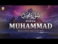 Stunning recitation of Surah Muhammad سورة محمد | SOFT VOICE | Zikrullah TV