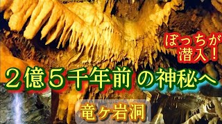 (vlog)日本最大規模の鍾乳洞探検してみた！地球の神秘！静岡県浜松市・竜ヶ岩洞へ。2億5000万年の歴史