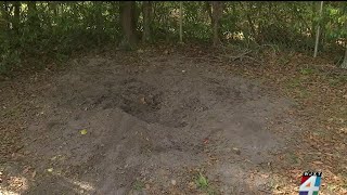 Human remains found in backyard of Jacksonville home after owner discovers ‘toes sticking out of...