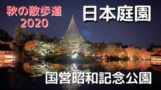 国営昭和記念公園「秋の夜散歩2020（日本庭園）」