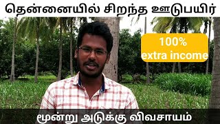 தென்னையில் சிறந்த ஊடுபயிர் | 3 அடுக்கு விவசாயம் | extra income in coconut forming