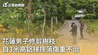 花蓮男子修剪樹枝 自3米高鋁梯摔落傷重不治｜20241003 公視早安新聞