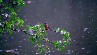 nature always change her form , প্রকৃতি সর্বদা পরিবর্তনশীল,At the same time different forms of water