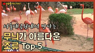 서울대공원에서 만나는 무늬가 아름다운 종류 TOP 5