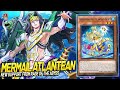 Deck Mermail Atlantean Post Rage of the Abyss| EDOPRO | Replays 🎮 + Decklist ✔️