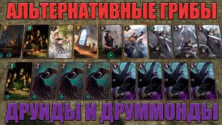 GWENT // ДРУММОНДЫ И ДРУИДЫ — АЛЬТЕРНАТИВНЫЕ ГРИБЫ // GUIDE