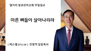 [캘거리 빛과 진리 교회] 2024.09.22 주일 '마른 뼈들이 살아나리라' (진영덕 목사)