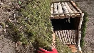 How to build a house in the forest with wood | لکڑیوں سے جنگل میں گھر کیسے بناتے ہے